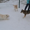 DSC_0129.JPG