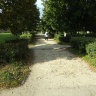 DSCF5377.JPG