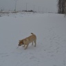 DSC_0054.JPG