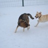 DSC_0094.JPG
