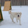 DSC_0115.JPG