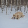 DSC_0028.JPG