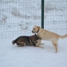 DSC_0103.JPG