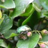 DSC_0014.JPG