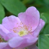 DSC_0005.JPG