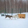 DSC_0118.JPG