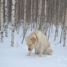DSC_0025.JPG
