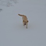 DSC_0012.JPG