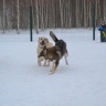DSC_0092.JPG