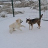 DSC_0127.JPG